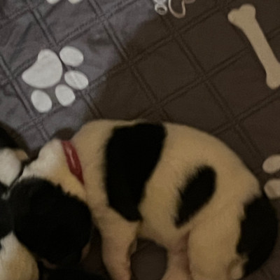 B...